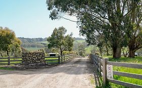 The Dairy